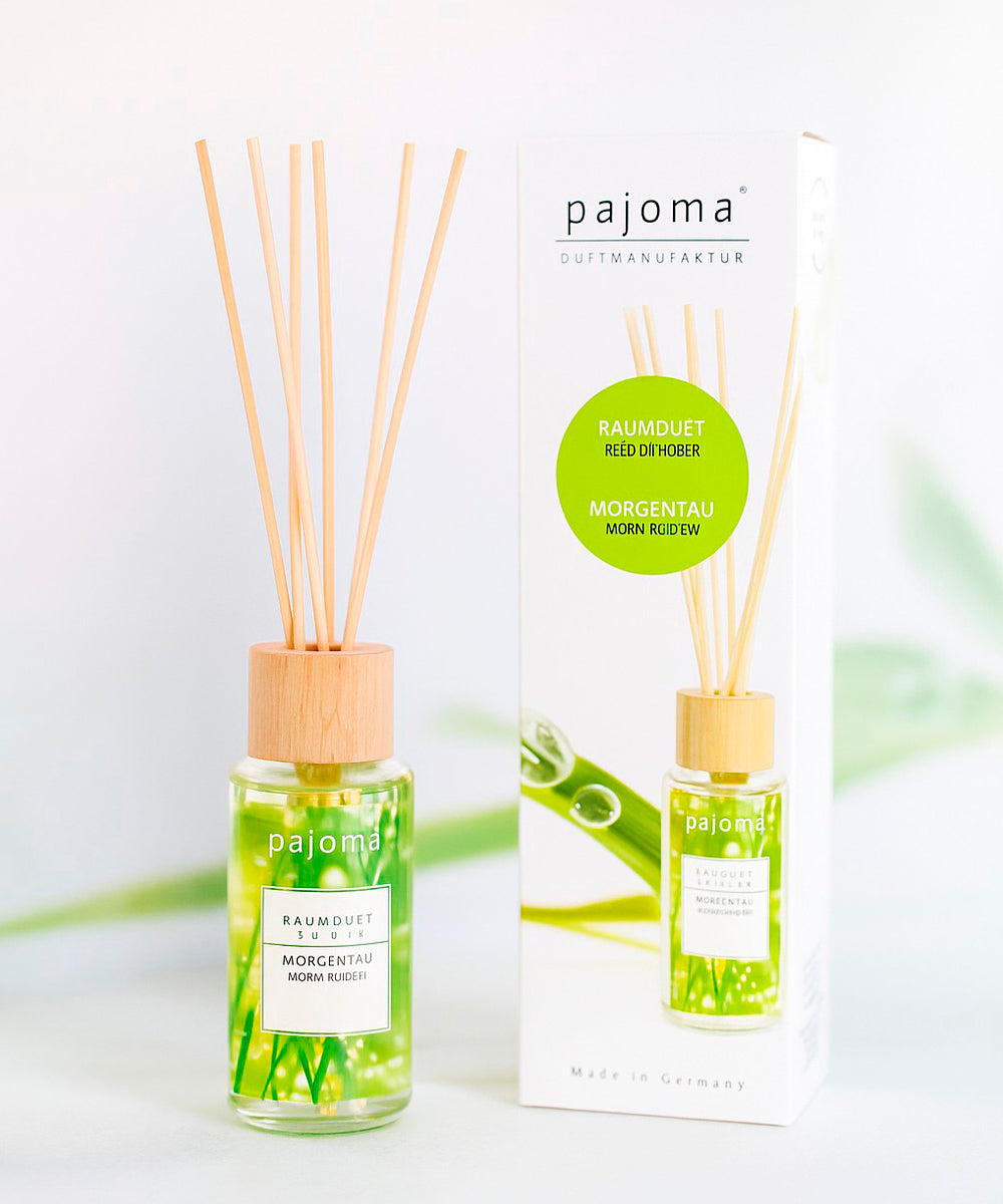Raumduft 100 ml, mit 10 Rattanstäbchen, verschiedene Sorten